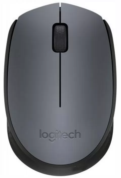 Logitech M170