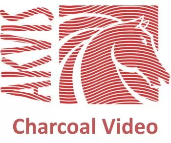 Akvis Charcoal Video Home