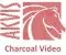 Akvis Charcoal Video Home