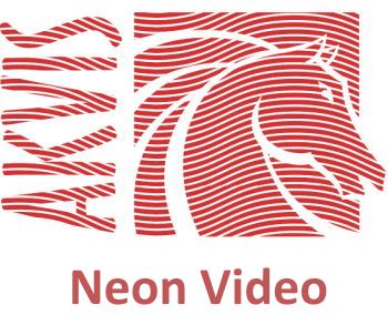 

Право на использование (электронно) Akvis Neon Video Home, Neon Video Home