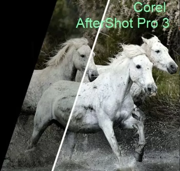 фото Corel AfterShot Pro 3 ML ESD EN/DE Windows/Mac/Linux