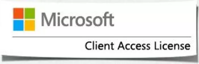 Microsoft Windows Server CAL 1 User 1 year