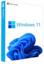 Microsoft Windows Pro  11 64Bit Eng Intl 1pk DSP OEI DVD