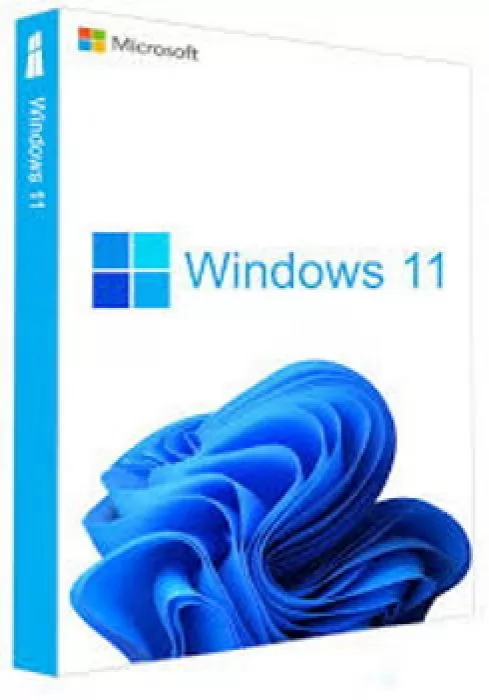 Microsoft Windows 11 Pro 64Bit English 1pk DSP OEI DVD