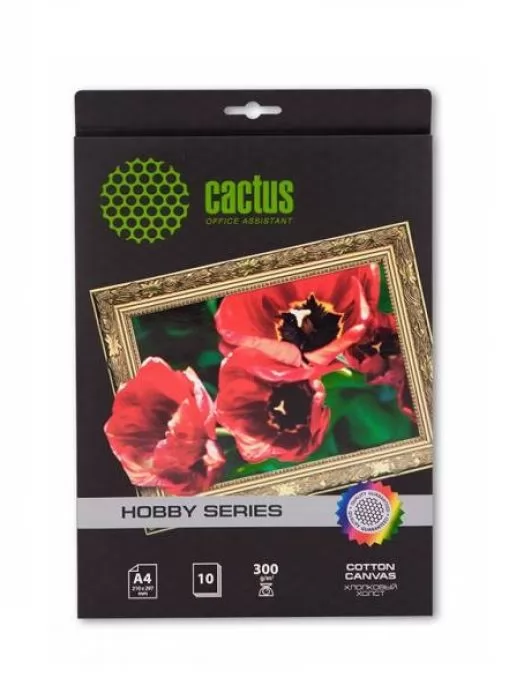 Cactus CS-CA426010