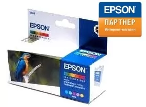 Epson C13T00840110