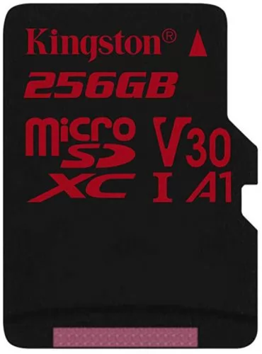 Kingston SDCR/256GBSP