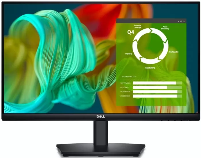 Dell E2424HS