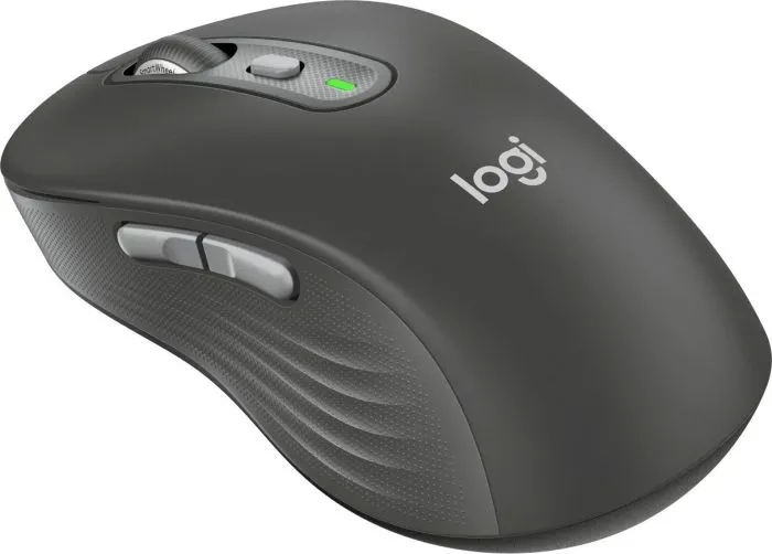 Logitech M750 L Large