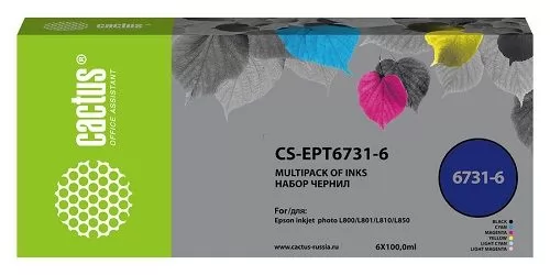 Cactus CS-EPT6731-6
