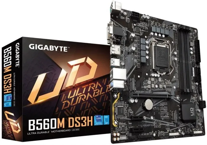 фото GIGABYTE B560M DS3H