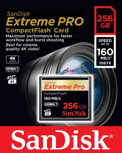 Купить Карта памяти 256GB SanDisk SDCFXPS-256G-X46: в Санкт