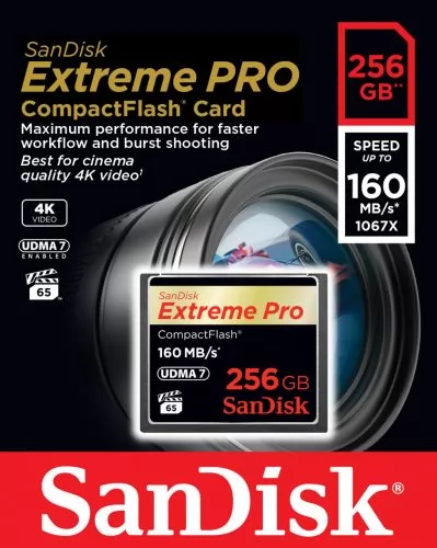 SanDisk SDCFXPS-256G-X46