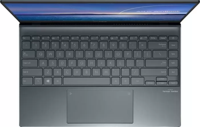 ASUS Zenbook 14 UX425EA-KI520