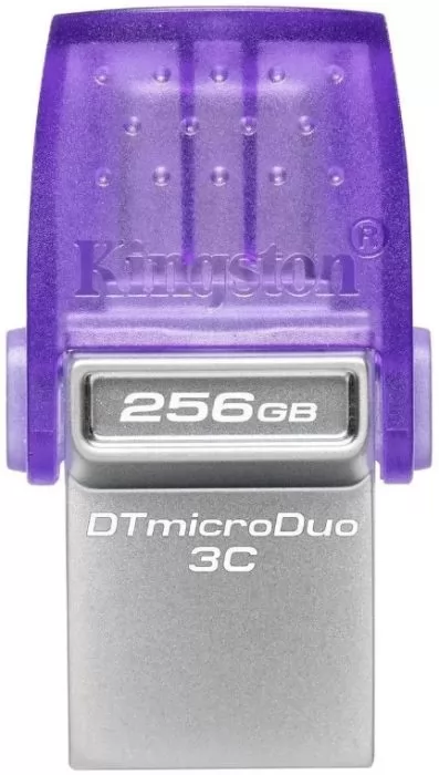 фото Kingston DTDUO3CG3/256GB