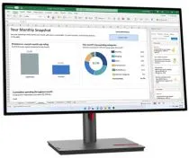 Lenovo ThinkVision P27h-30