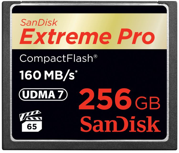 

Карта памяти CompactFlash 256GB SanDisk SDCFXPS-256G-X46 Extreme Pro 160MB/s, SDCFXPS-256G-X46