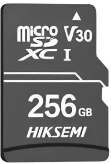 HIKSEMI HS-TF-D1/256G