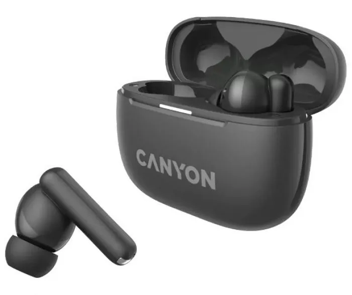 Canyon TWS-10