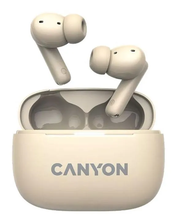 Canyon TWS-10