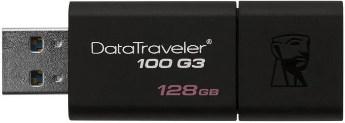 фото Kingston DataTraveler 100 G3