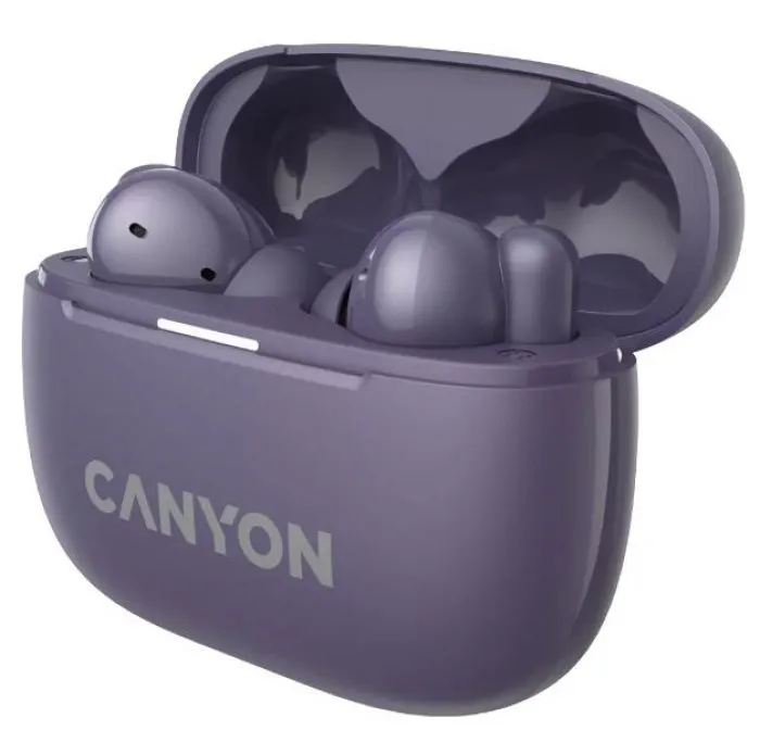 Canyon TWS-10