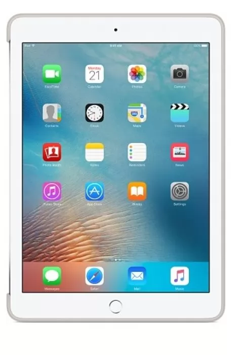 Apple iPad Pro 9.7" Silicone Case Stone
