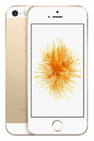 Apple iPhone SE 64Gb Gold MLXP2RU/A