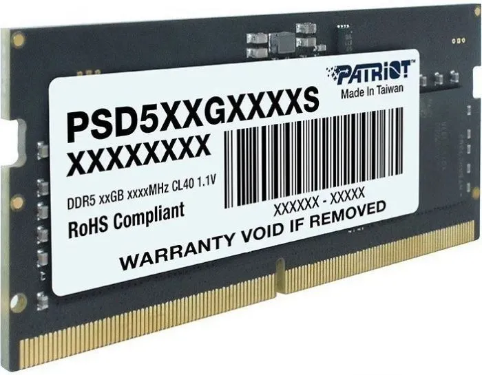 фото Patriot Memory PSD516G520081S