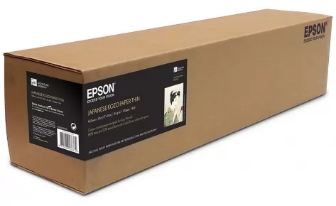 Epson C13S045599