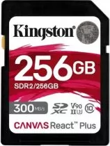 Kingston SDR2/256GB