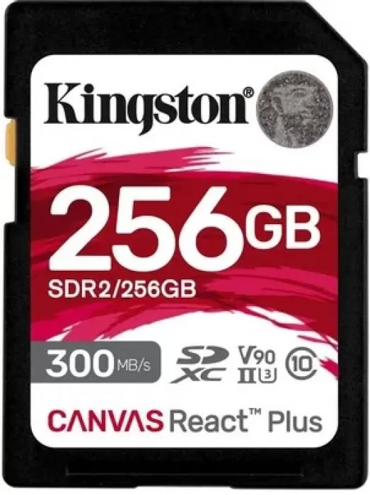 Kingston SDR2/256GB