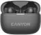 Canyon TWS-10