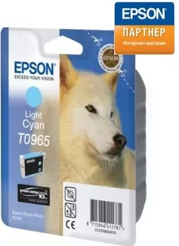 Epson C13T09654010
