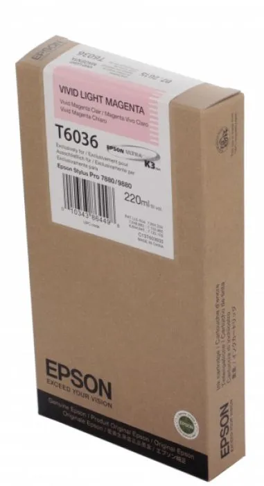 Epson C13T603600