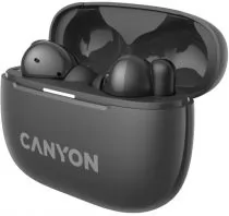 Canyon TWS-10