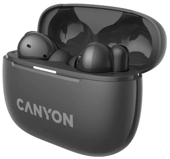 Canyon TWS-10