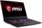 MSI GE75 Raider 10SFS-217RU