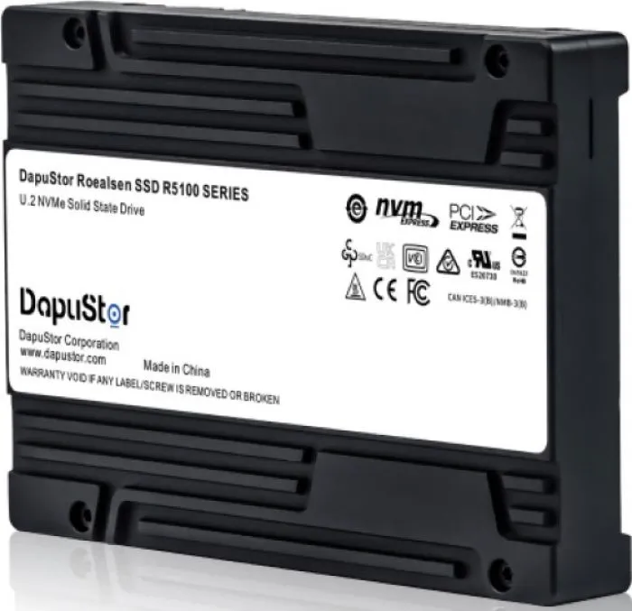 фото DapuStor R5101