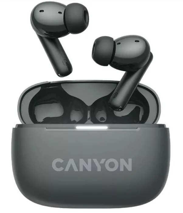 Canyon TWS-10