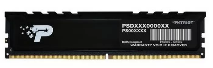 Patriot Memory PSP516G480081H1