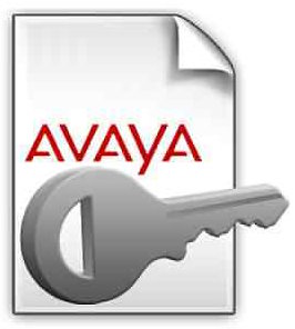 Ключ активации Avaya 228747 UCE R5.2+ AE SVCS R5.X UNFD DSKTP /E