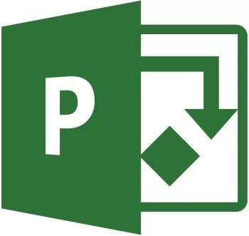 Microsoft Project Professional 2019 Win All Languages
