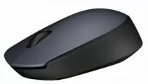 Logitech M170