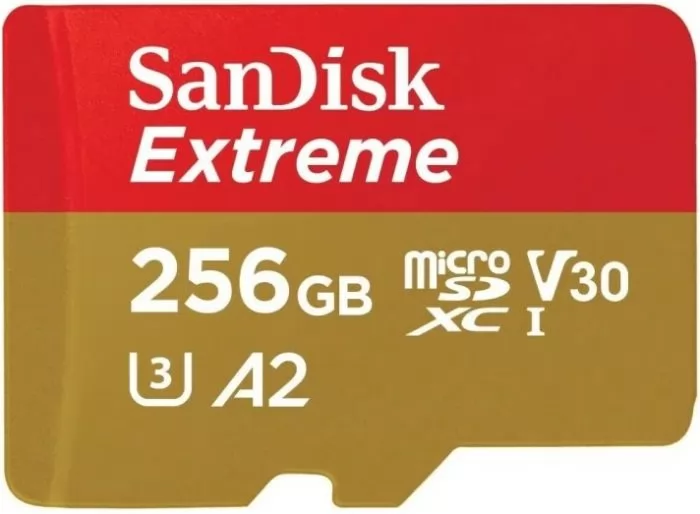 SanDisk SDSQXAV-256G-GN6MN