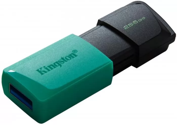 Kingston DTXM/256GB