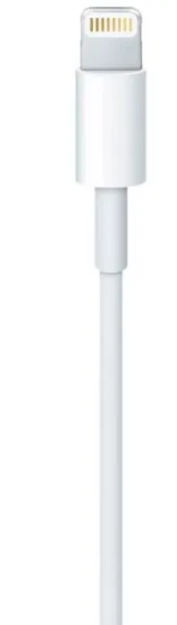 Apple Lightning to USB