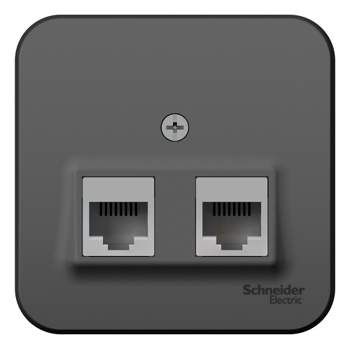 

Розетка Systeme Electric BLNIA045456 2-ая компьютерная RJ45, кат.5E, изолир. пластина Антрацит наруж, BLNIA045456