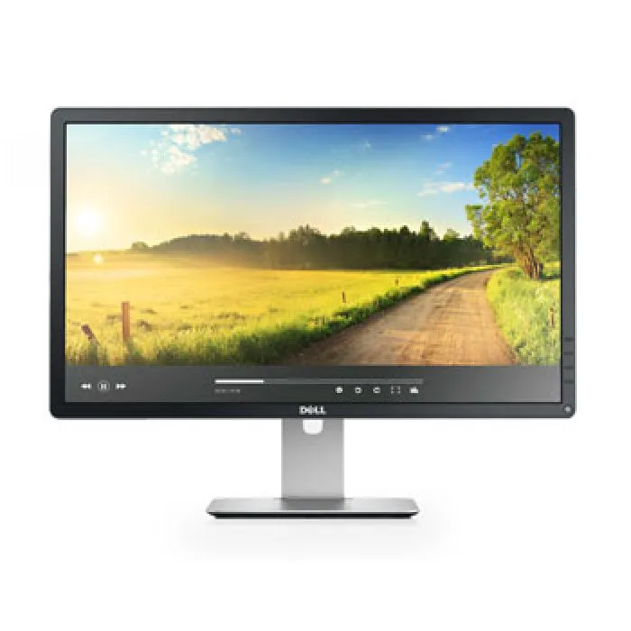 Dell P2414H