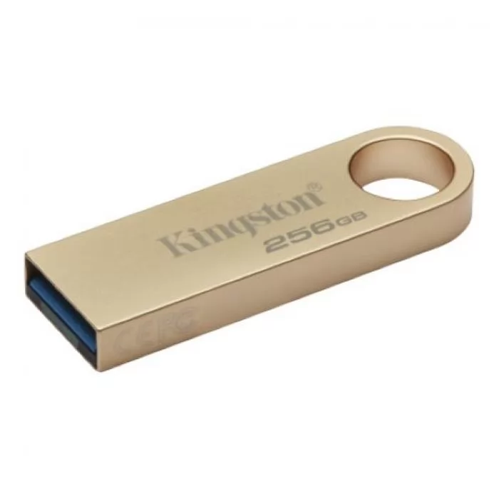 Kingston DataTraveler SE9 DTSE9G3/256GB